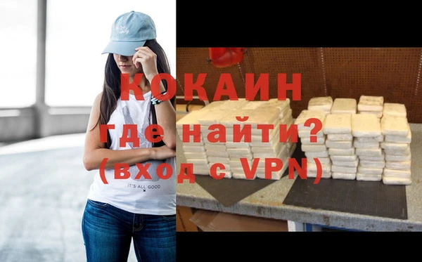 дживик Балахна