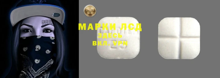 ALPHA PVP Баксан