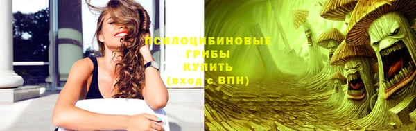 дживик Балахна