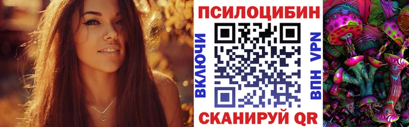 Галлюциногенные грибы Psilocybine cubensis  Гуково 